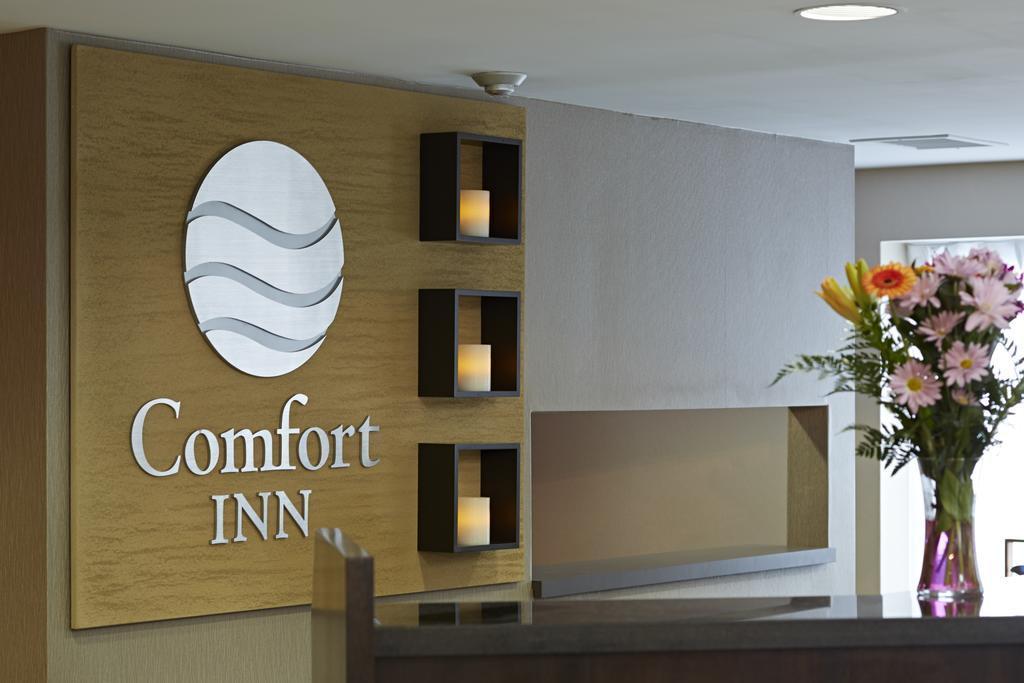 Comfort Inn Ривьер-дю-Лу Экстерьер фото